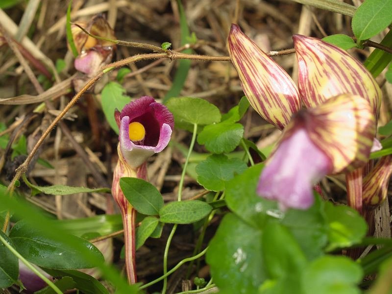 p9304327
