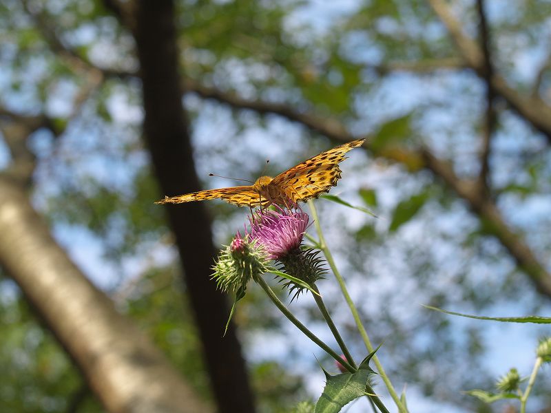 p9304343
