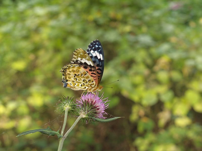 p9304344
