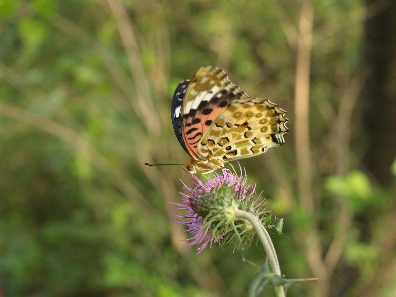 p9304348