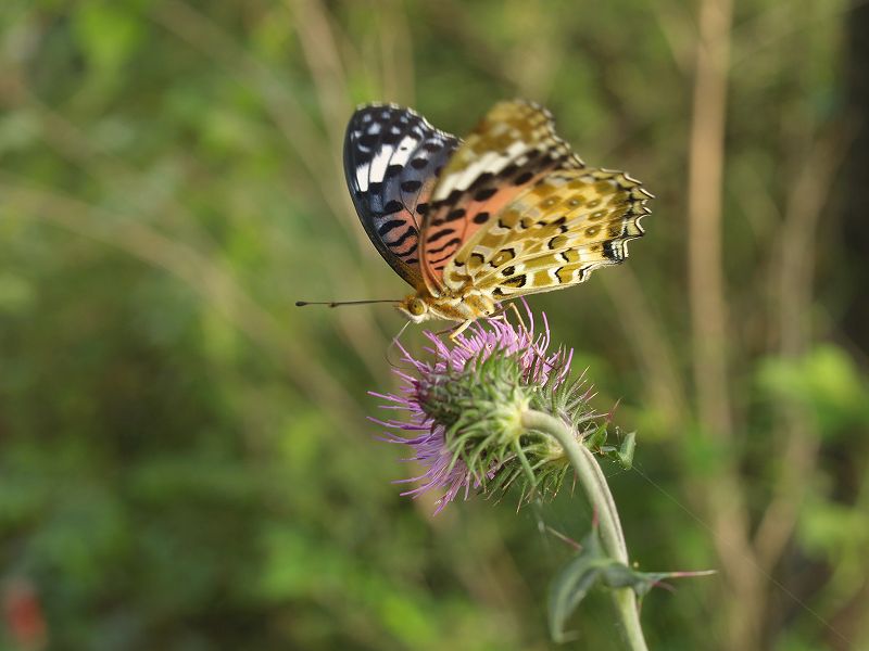 p9304349