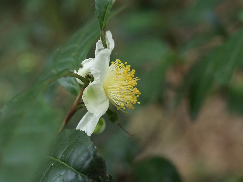 p9304354
