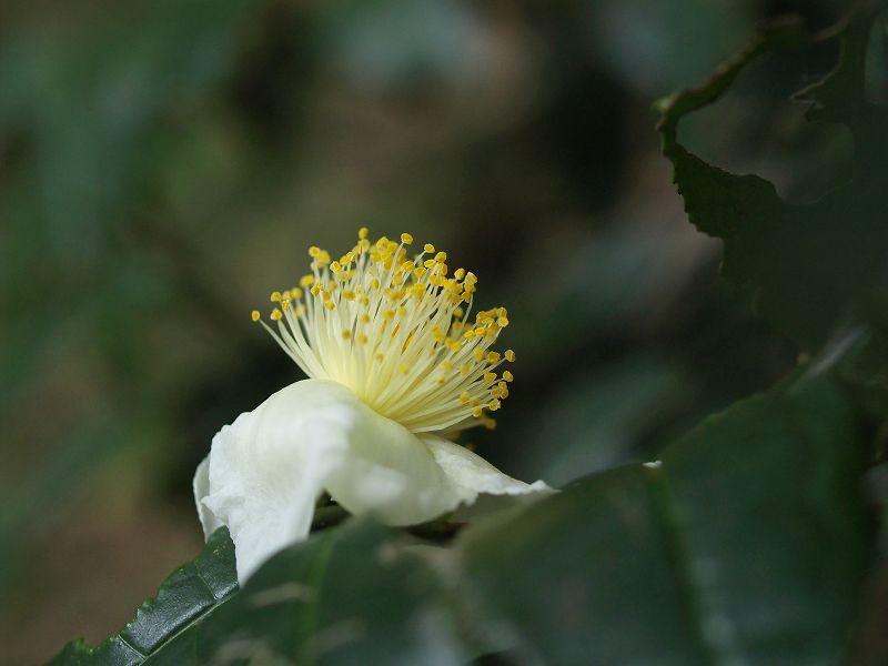 p9304357