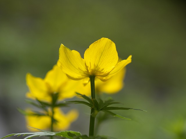 p7024986