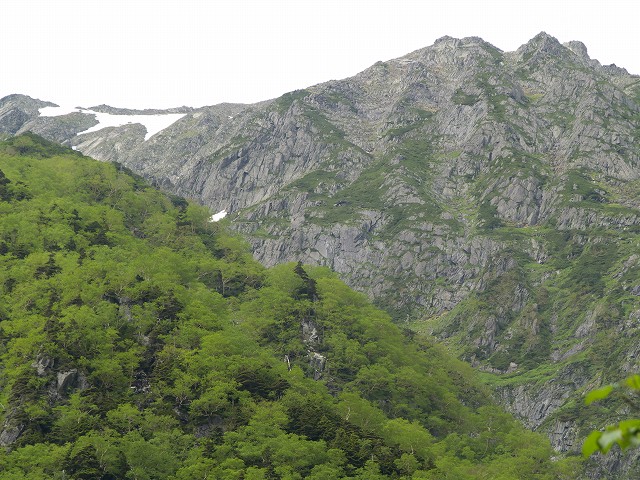 p7025026