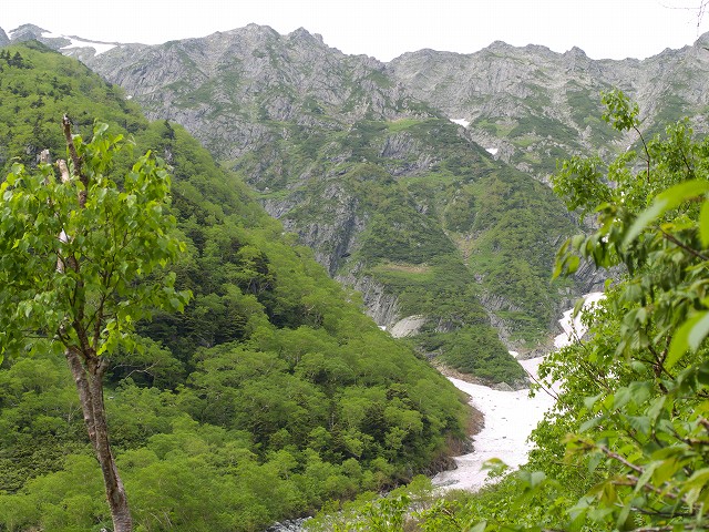p7025031